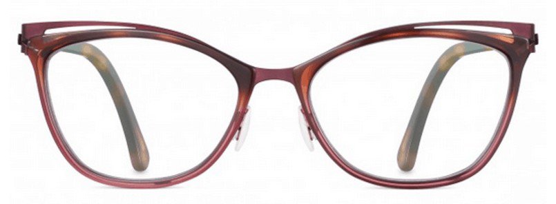 Tortoise acetate frame with metal accents