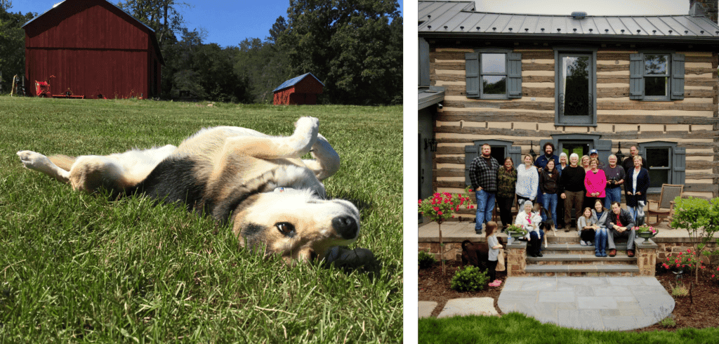 Dog rolling in grass on a farm and a family standing in front of a log cabin