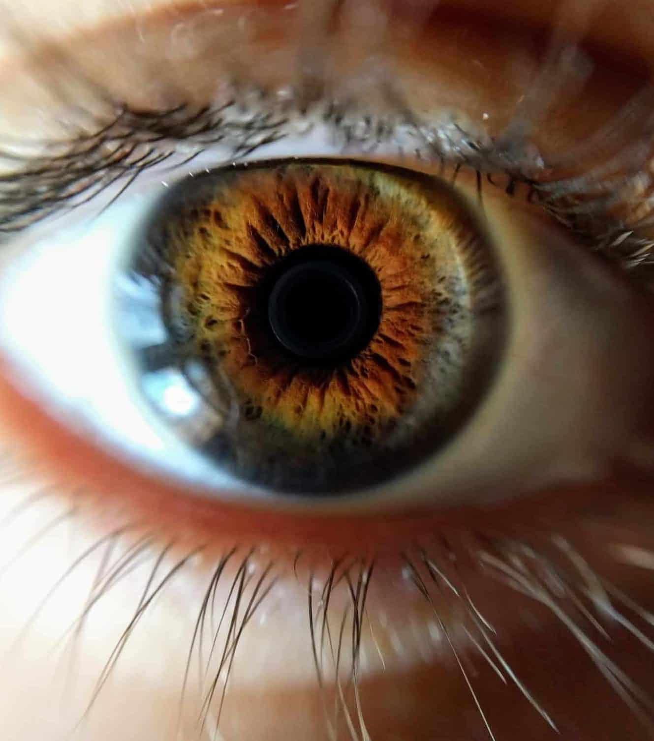 Fun Fact Iris Photo: your eyes are not green!