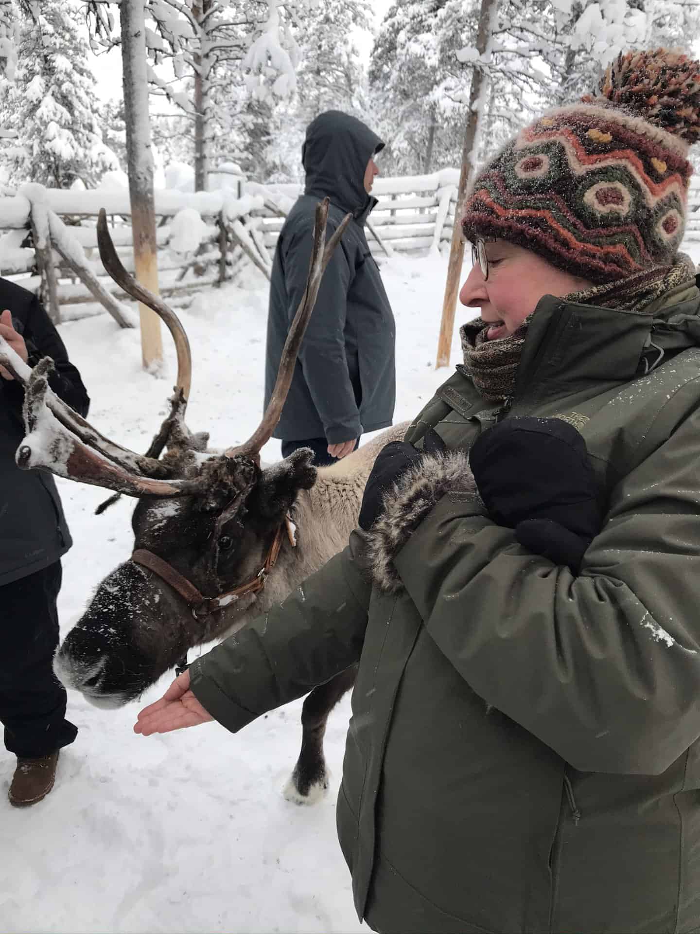 Woman holding her hand out to a reindeer in the snow